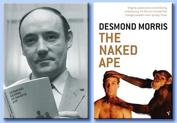 desmond morris - the naked ape