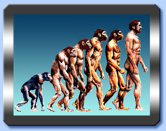 evoluzione dell'uomo