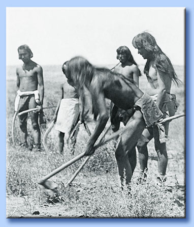 indiani hopi agricoltori