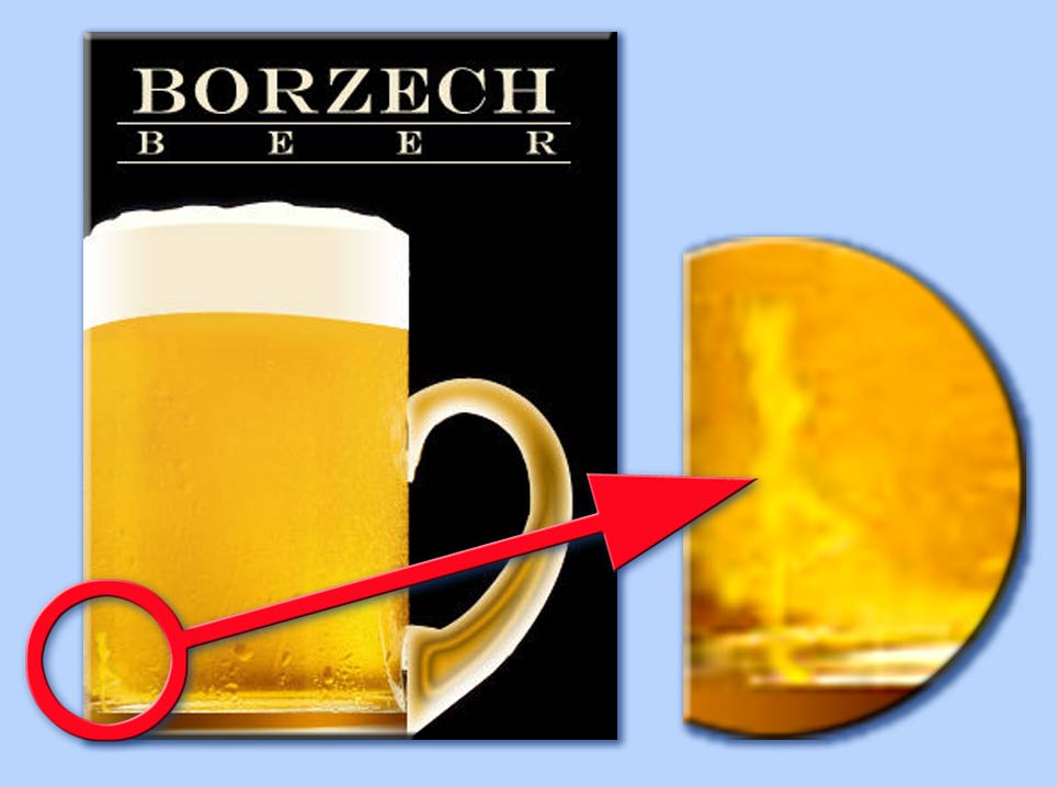 borzech donna