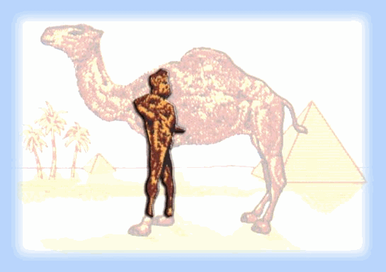 animazione con uomo nudo sulle camel