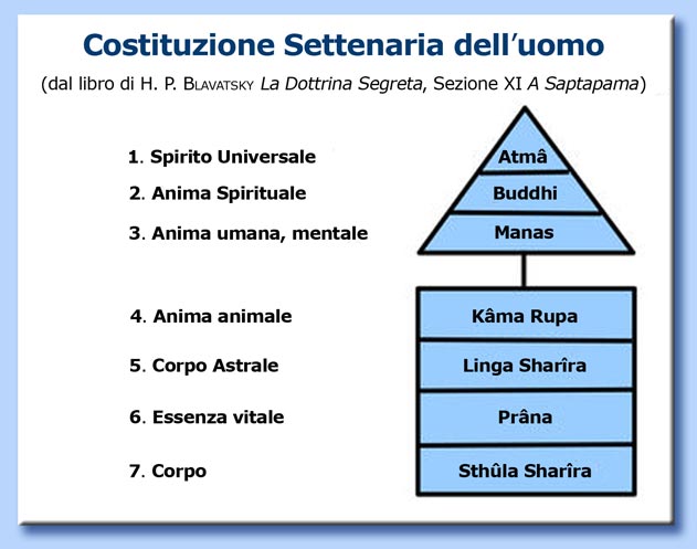 costituzione settenaria dell'uomo