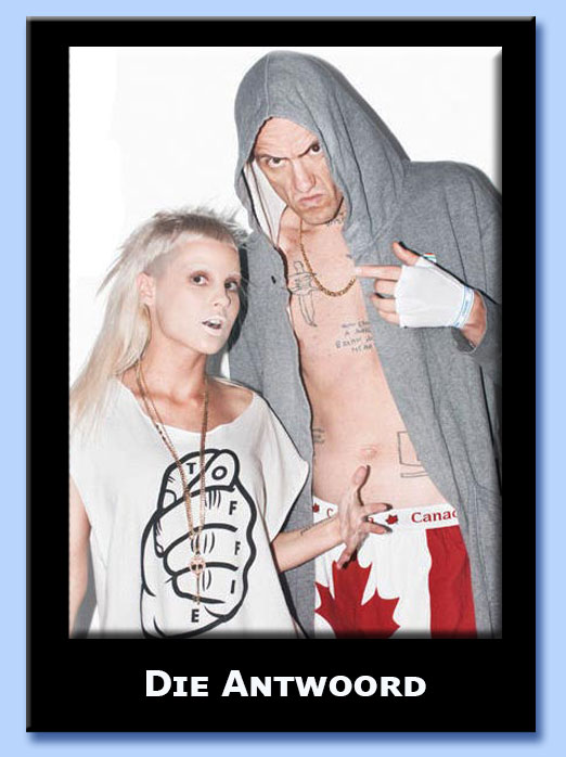 die antwoord