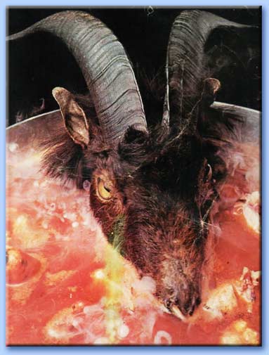 goats head soup