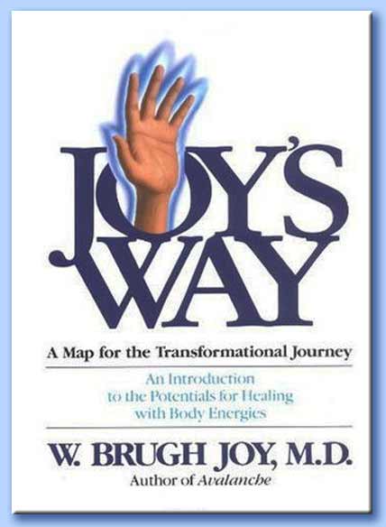 joys way: a map for the transformational journey - w. brugh joy