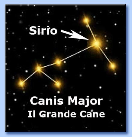 sirio - il grande cane