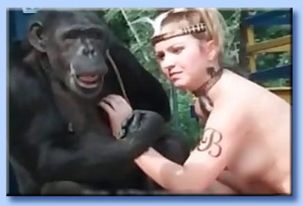 🟢 Video Porno Donne Con Animali bestialita