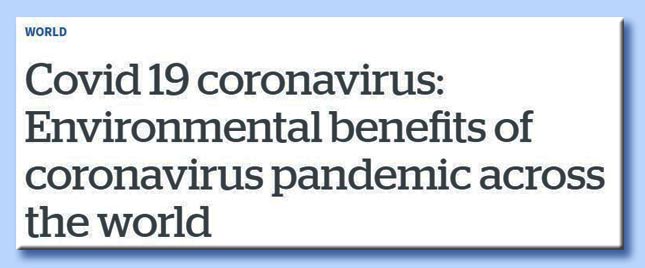 new zealand herald - coronavirus