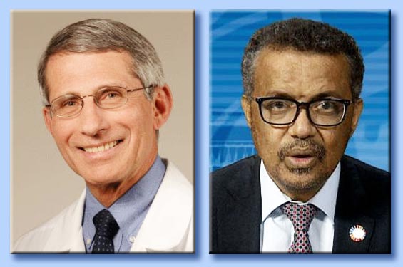 anthony fauci - tedros adhanom