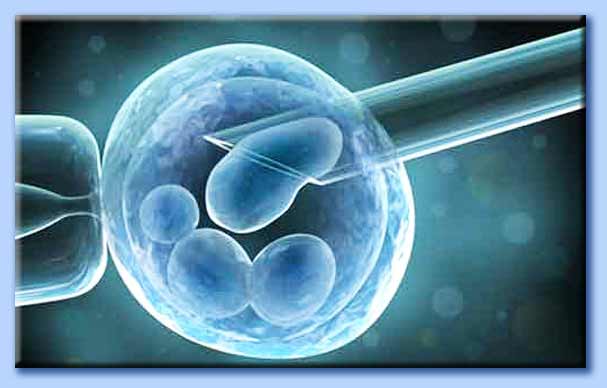 fecondazione in vitro