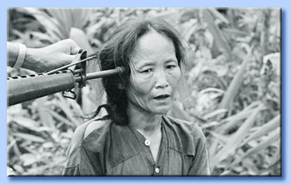 guerra nel vietnam