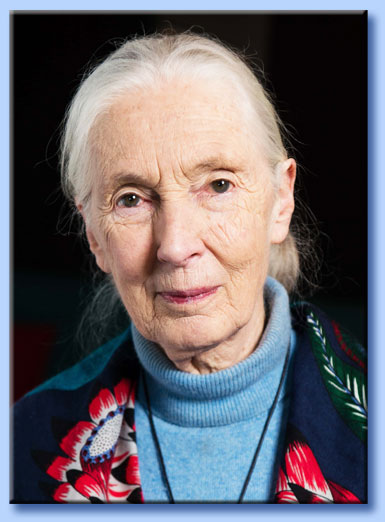 jane goodall