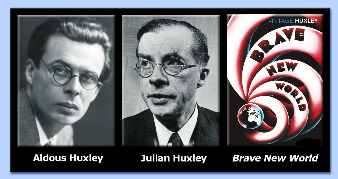 riquadro huxley