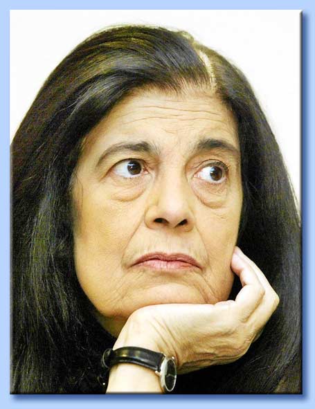 susan sontag