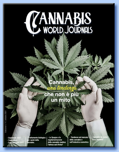 cannabis