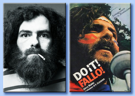 jerry rubin - do it