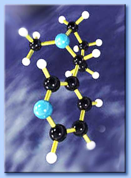 feromone