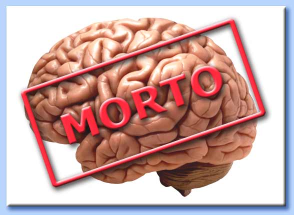 morte cerebrale