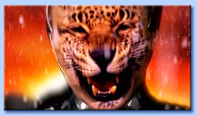beyoncé - beta kitten