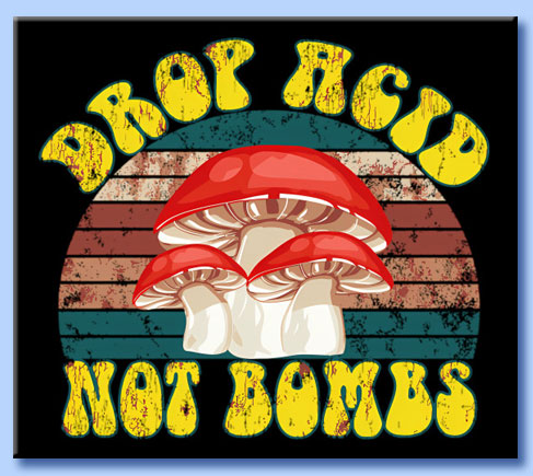 drop acid, not bombs