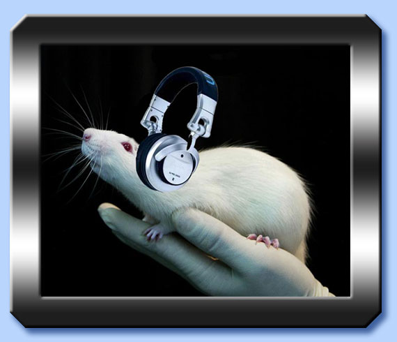 topo e musica