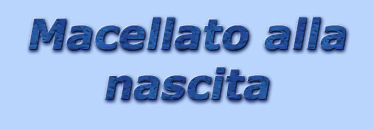 titolo_macellato_alla_nascita