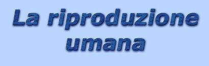 titolo la riproduzione umana