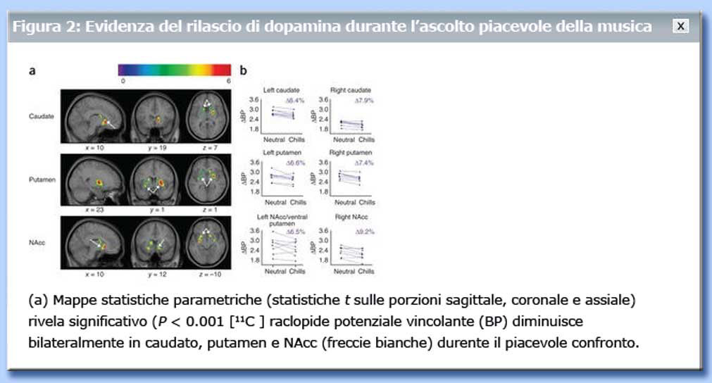 tavola rilascio dopamina nº 2