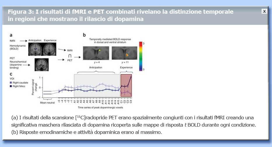 tavola rilascio dopamina n 3