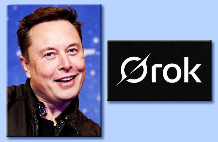 elon musk - grok