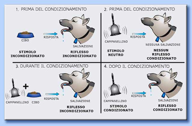 Risultati immagini per ESPERIMENTO SUI CANI DI PAVLOV