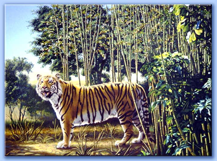 the hidden tiger - la tigre nascosta