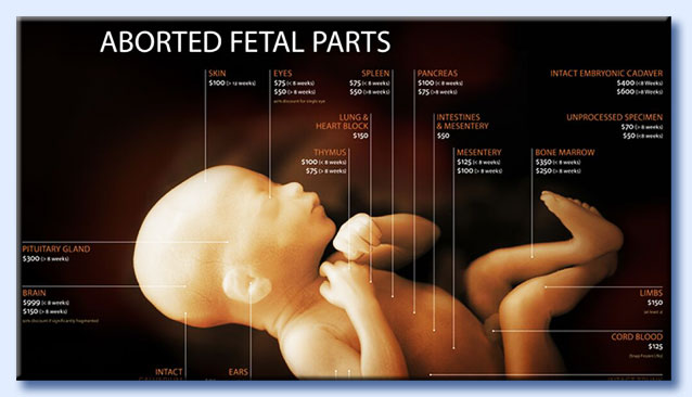 tariffario planned parenthood