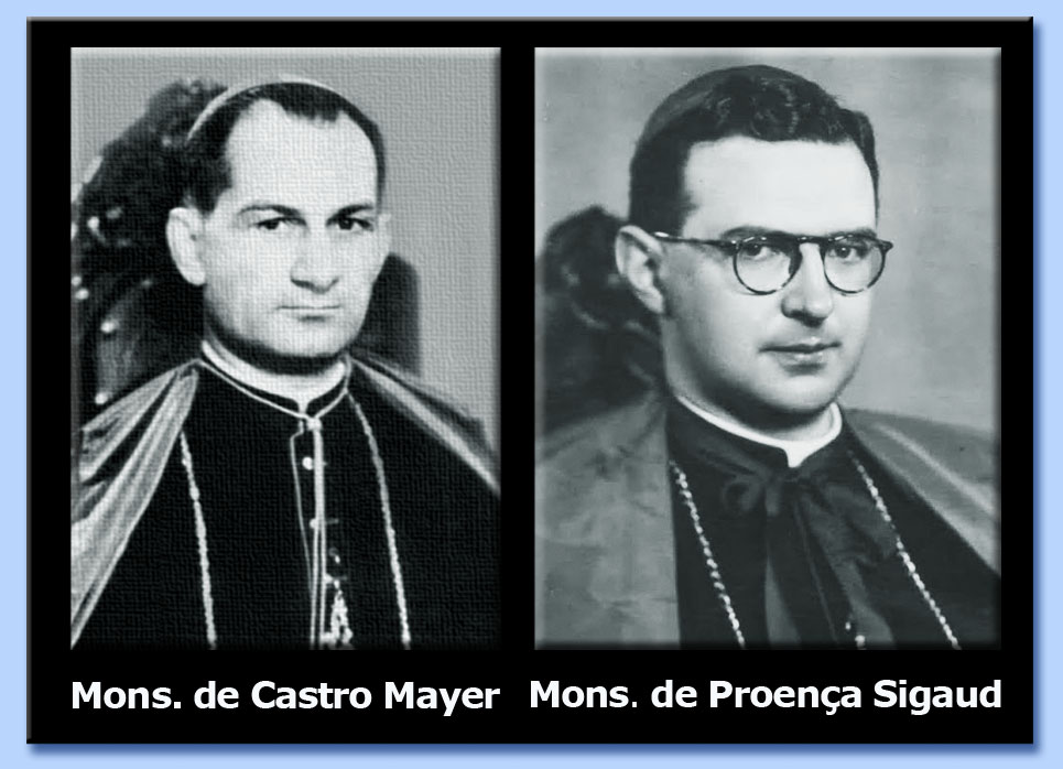 mons. antonio de castro mayer - mons. geraldo de proena sigaud