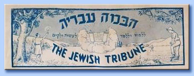 the jewish tribune