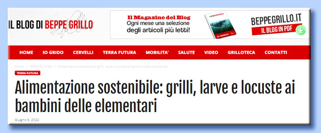 mangiare gli insetti