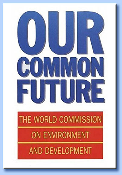 our common future