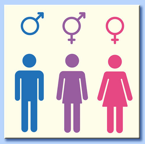teoria del gender