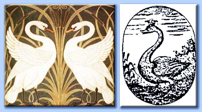 cigno alchemico