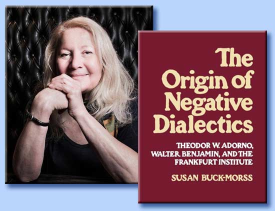 susan buck-morss - origins of negative dialetics
