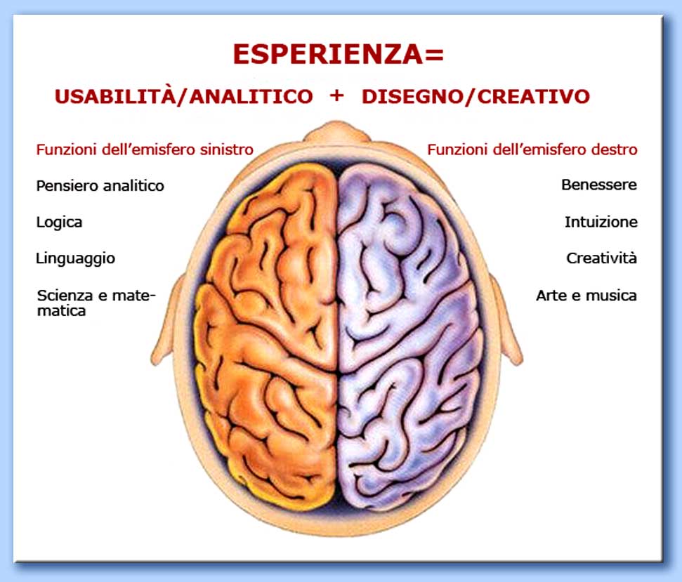 funzioni degli emisferi cerebrali